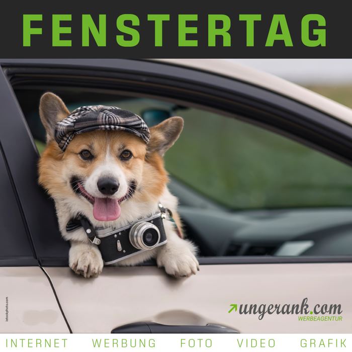 fenstertag_ungerank